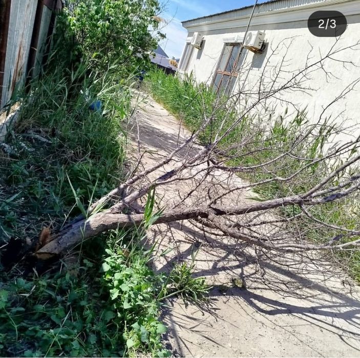 Уборка территорий. Покос травы. Очистка участков.