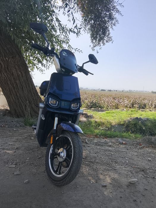 Скутер Drongo TK