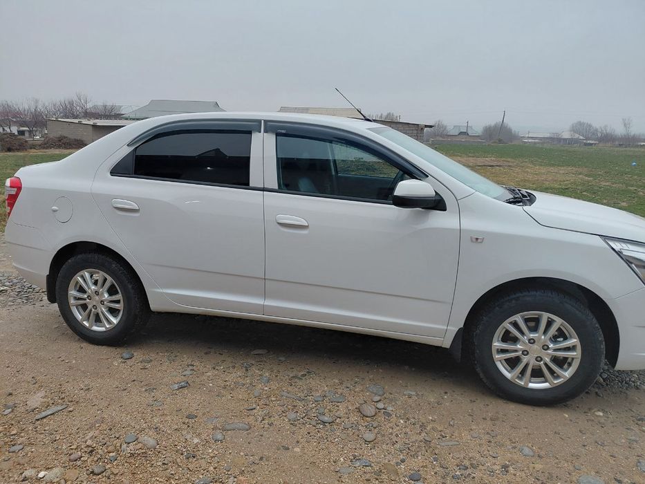 Cobolt xolati zur 2025