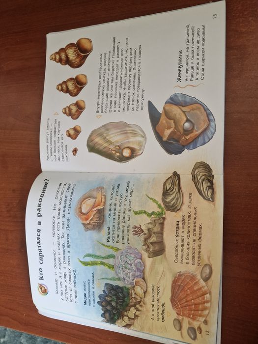 Книжка Океаны и моря