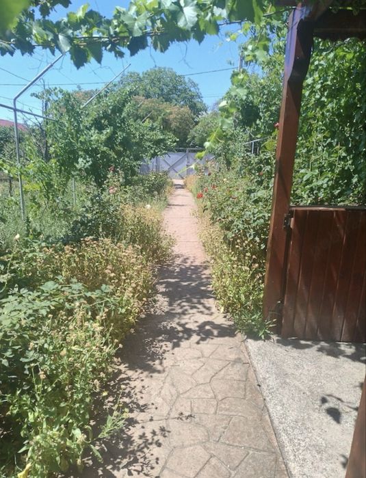 Vând teren intravilan, comuna Vînatori, judetul Galati!
