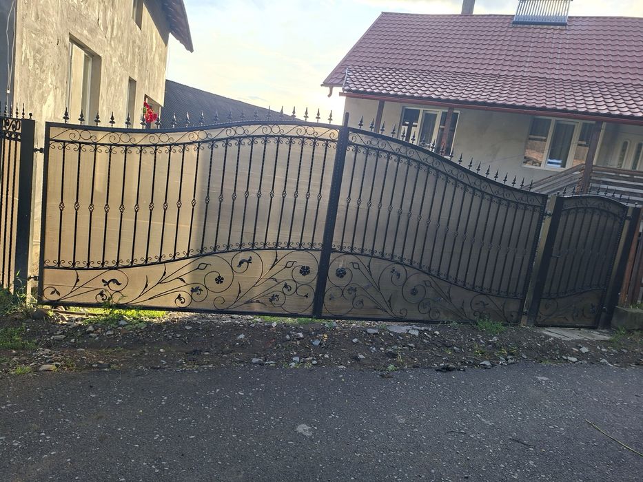 Vand poarta din fier