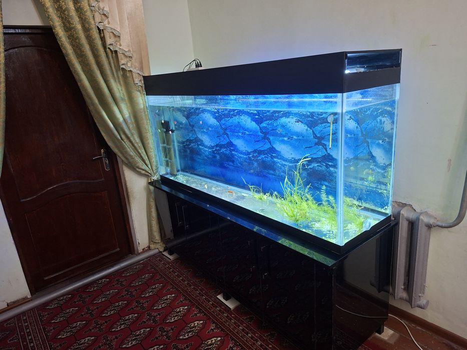 Аквариум сатылады