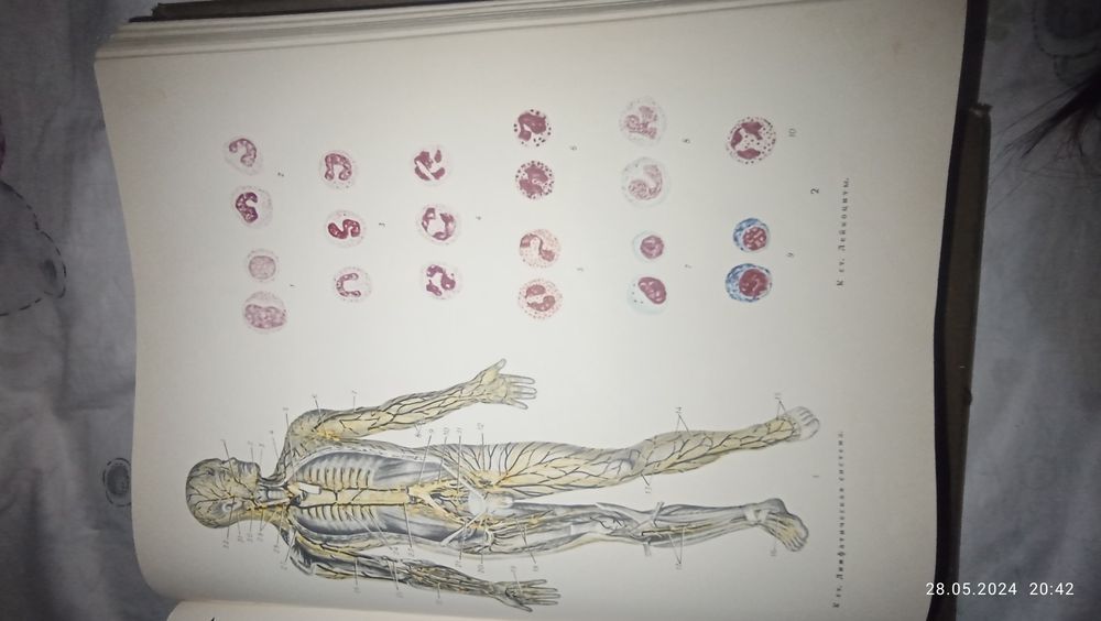 Медицинская книга