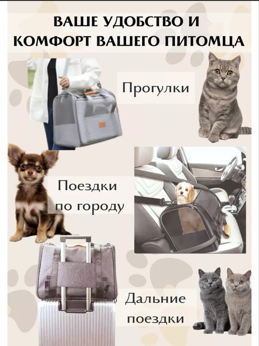 Переноска - сумка