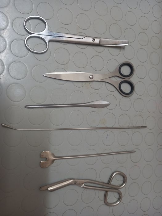 Ветеринарна медицина