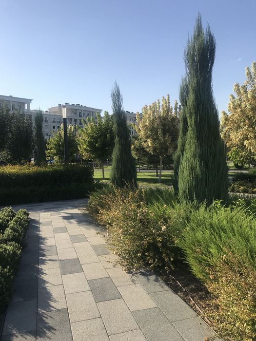 daily 3 apartment on Tashkent City  . Суточная 3х ком кв Ташкент ситий