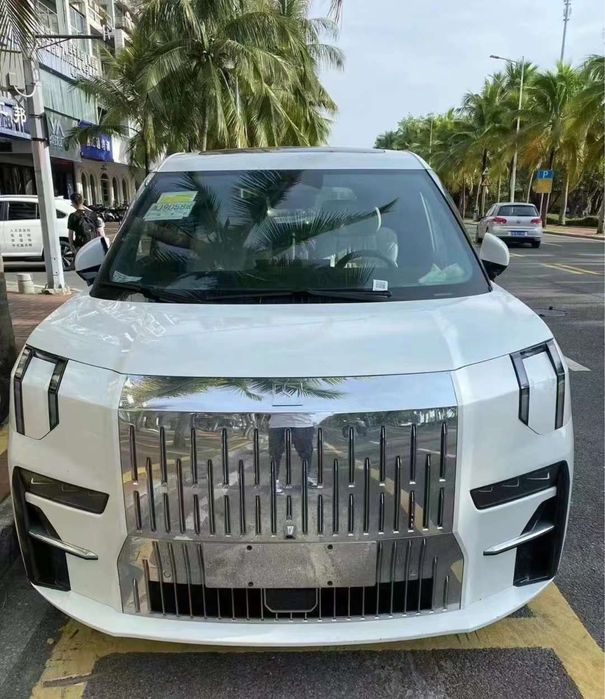 ZEEKR YOU 009 на заказ 2025 CIP Tashknet Быстро надежно Terra Auto