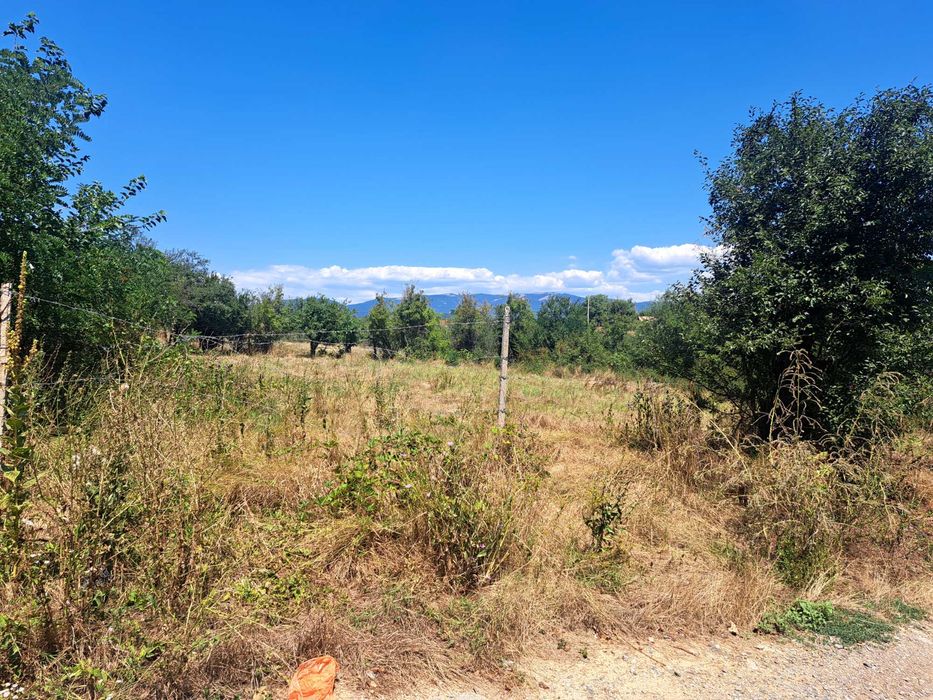 Имот в с паничерево