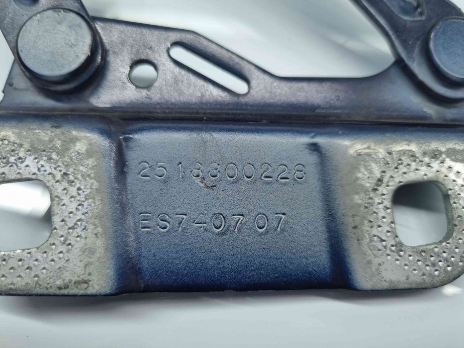 Set balamale capota Mercedes Clasa ML (W164) [Fabr 2005-2012] A2518800