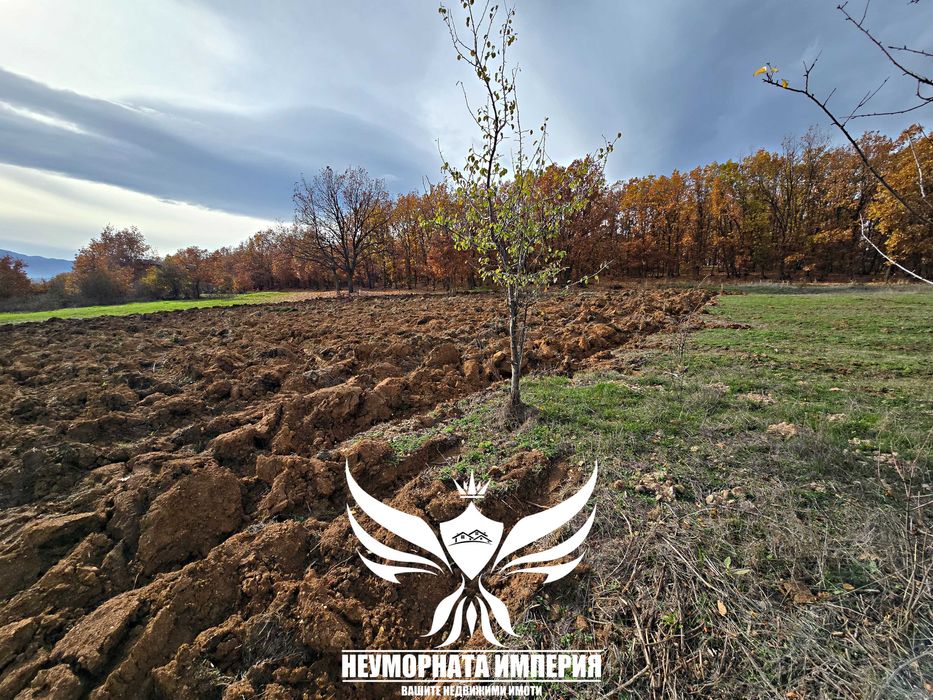 Продавам два броя земи в село Стоево 1120кв.м.  общ.Асеновград