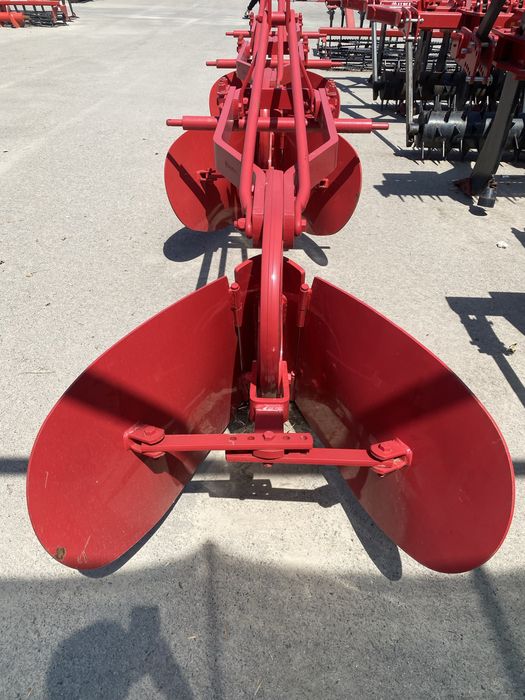 Арычник турецкий