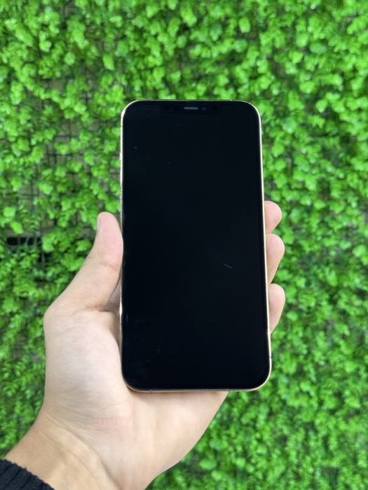 iPhone 12 Pro Max | 128GB | 75%
