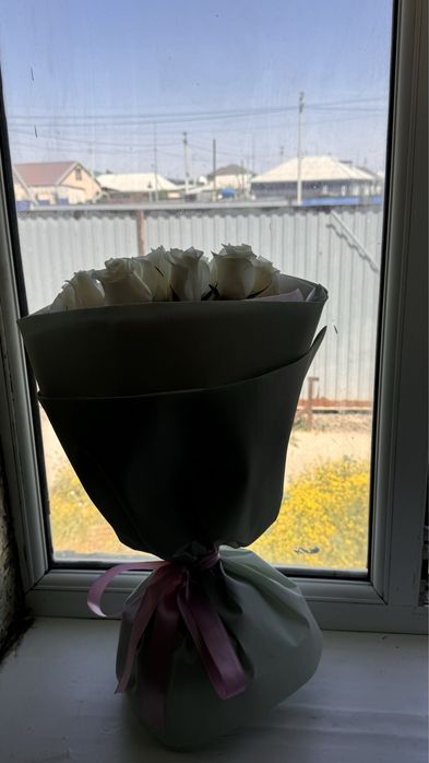 белые розы 11 штук