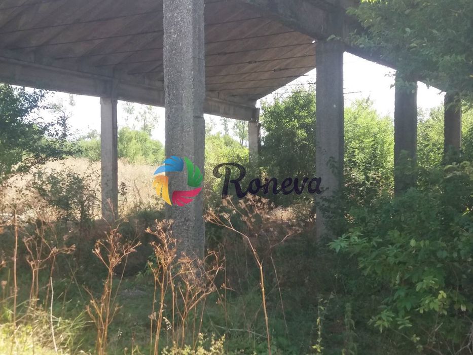 Продава се Парцел в с. Левски, Област Варна - 2782 кв.м за 20 €/кв.м - Снимка #2