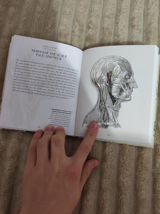 Atlasuri de anatomie