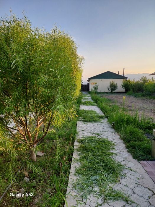 Все виды, обрезки   Ваших деревьев.