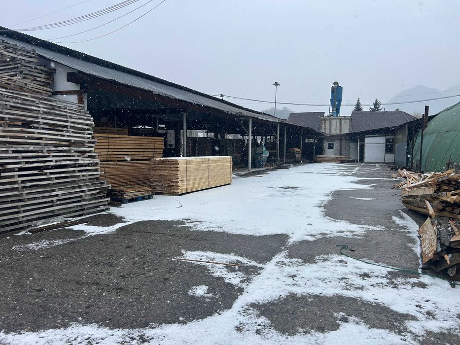 TEREN/hala de prelucrare lemn cherestea