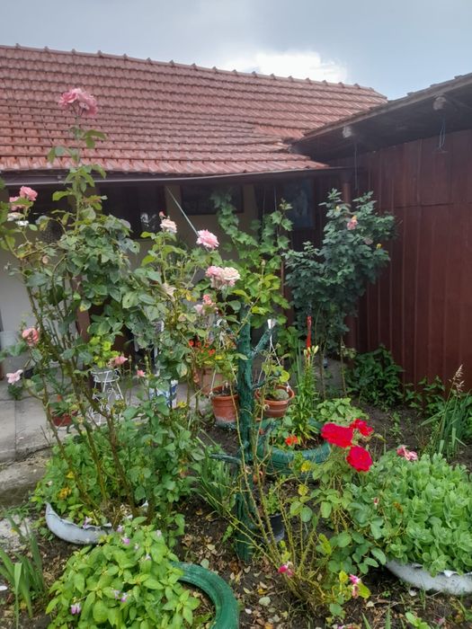 Casă de vânzare!