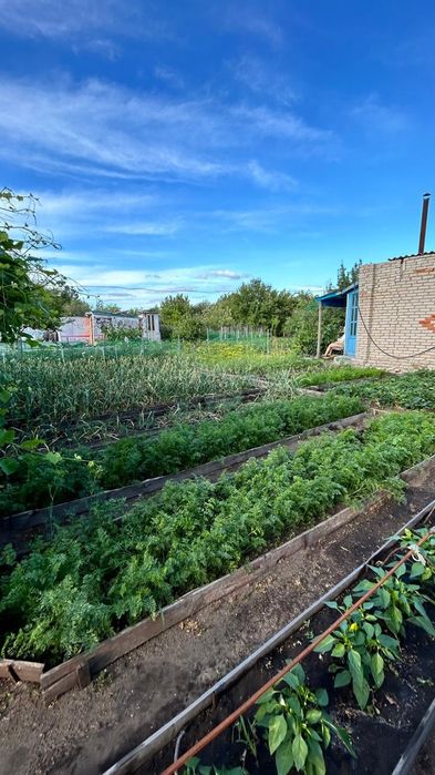 СРОЧНО продам Дачу