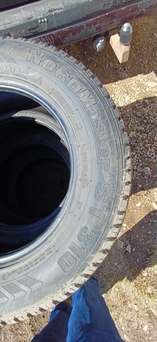 Шина амтел нордмастер ст 310