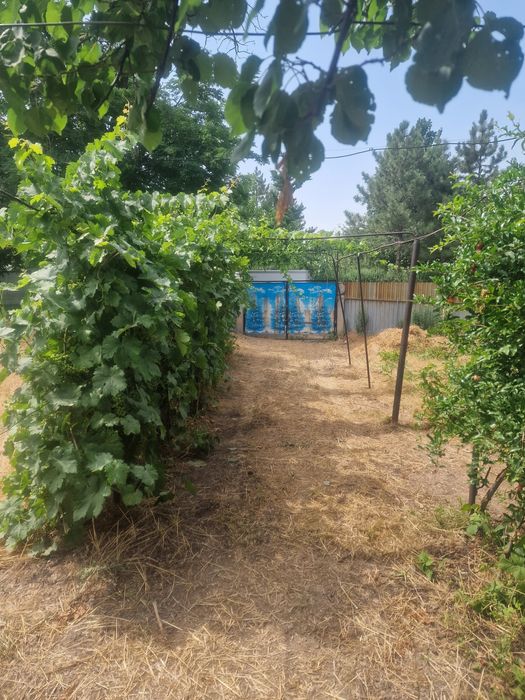 Участок с домом Ташкентская область