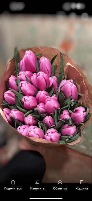 Тюльпаны на заказ к 8 марта премиум