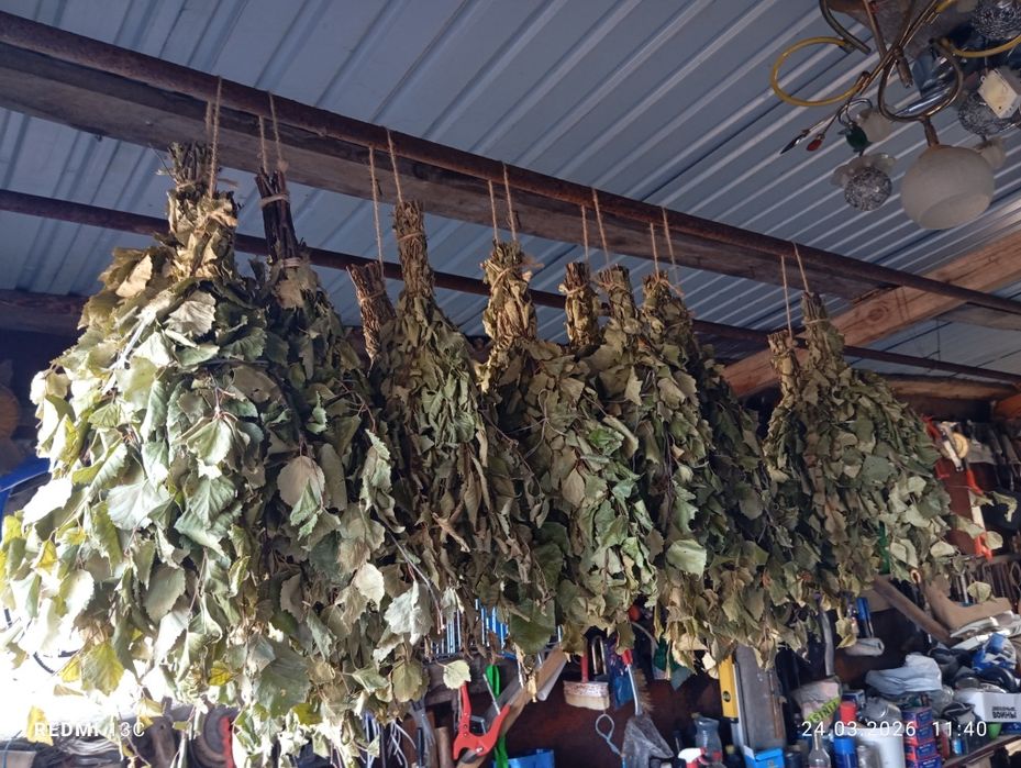Продам веники для бани