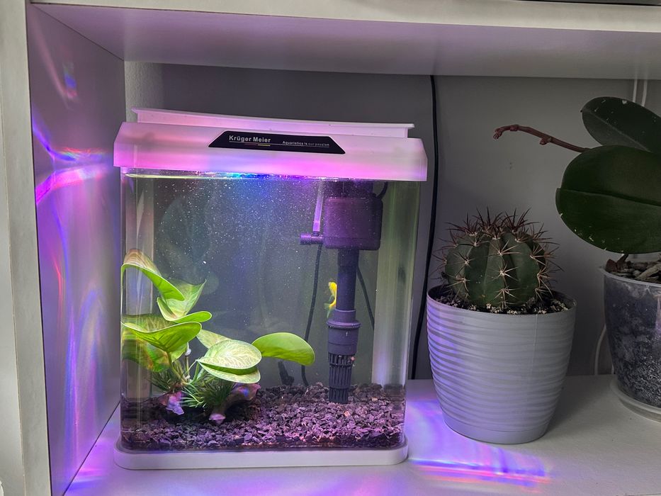 Vând acvariu german Kruger Meier de 7 litri.