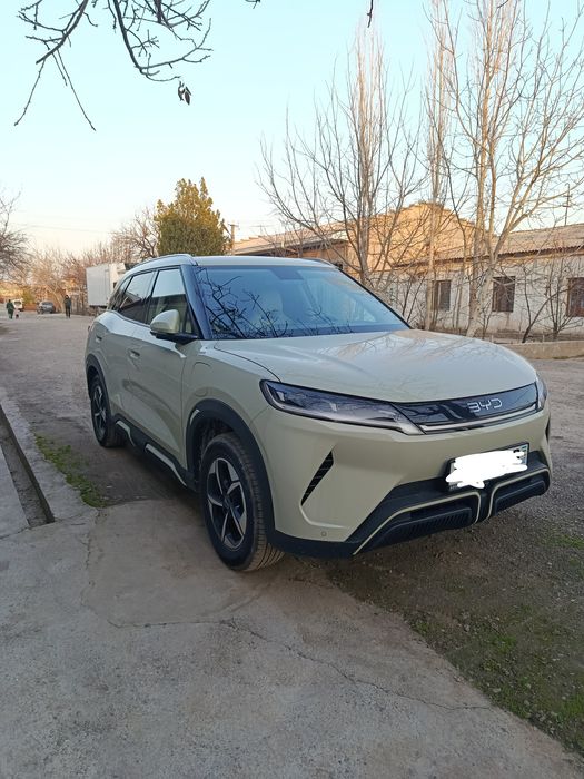 Byd yuan up 2025
