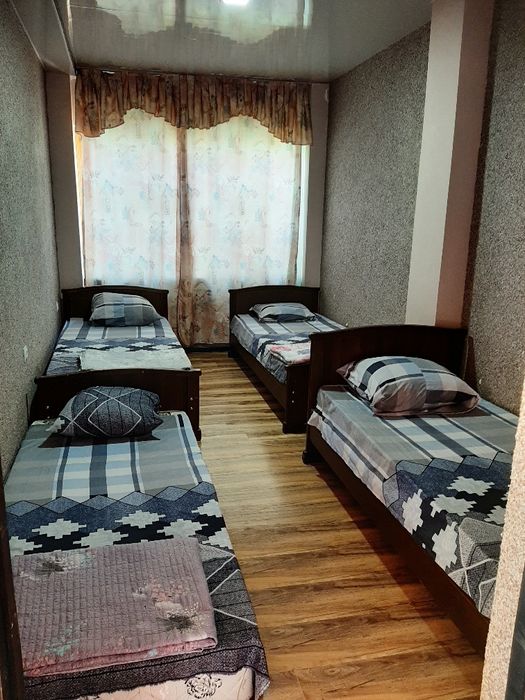 Dacha arenda arzon narxda