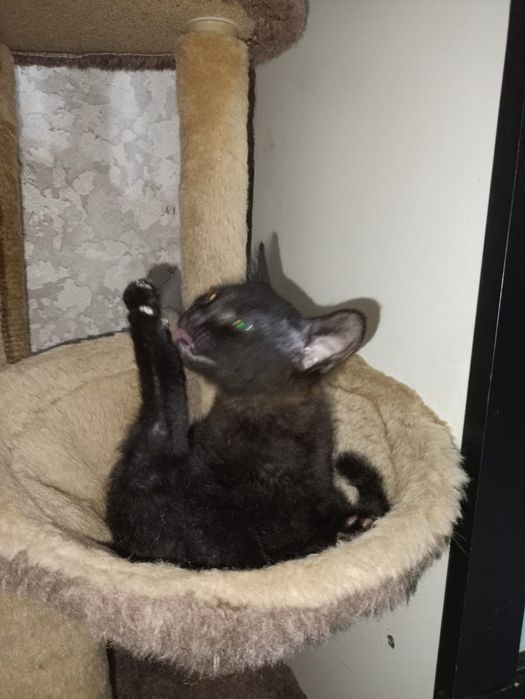 От дам мальчугана в хорошие руки