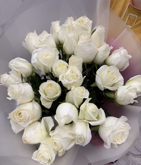 Белый роза 31 шт