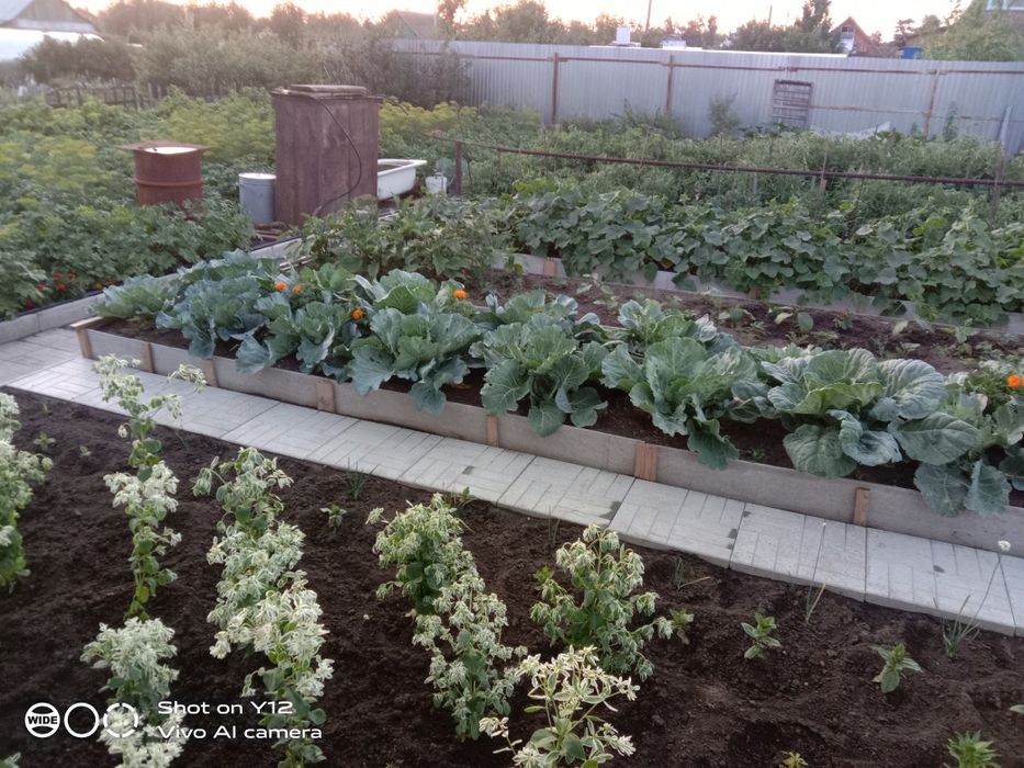 Продам дачу в Борках