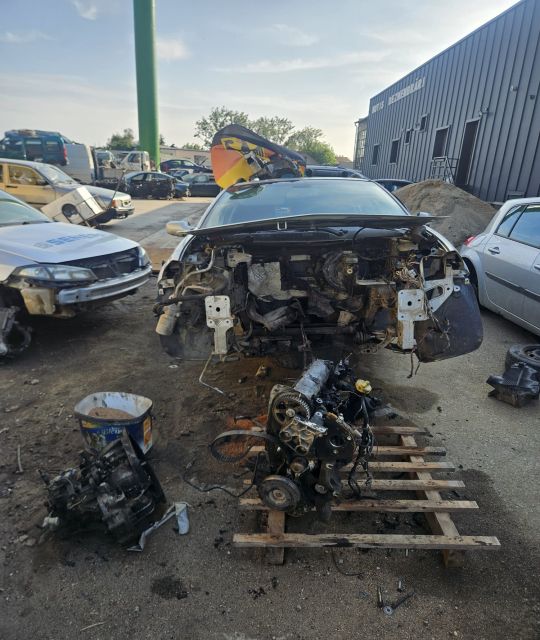Piese Renault Megane 2003 1.9 dCi MT (120 hp)