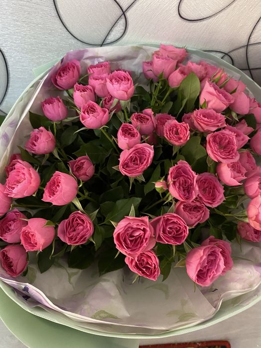 Продам цветы свежие сегодняшние