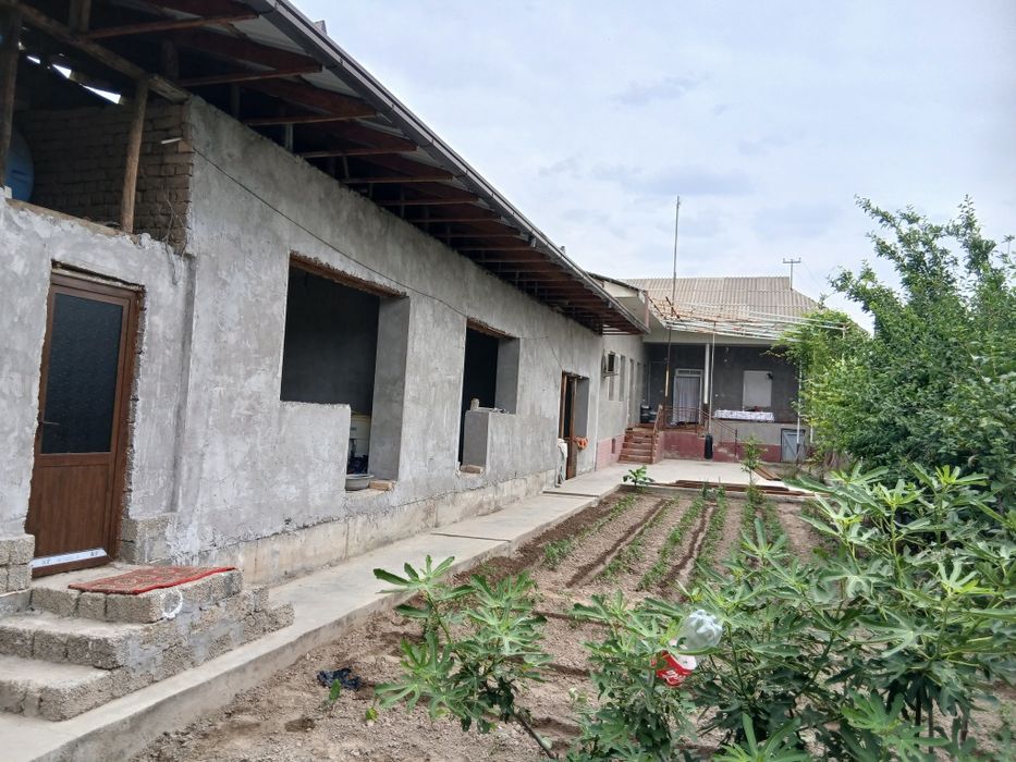 Toshkent viloyati chinoz tumani guliston kochasi 86-uy
