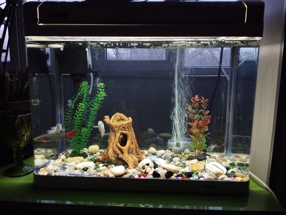 Аквариумы, фильтры, рыбки