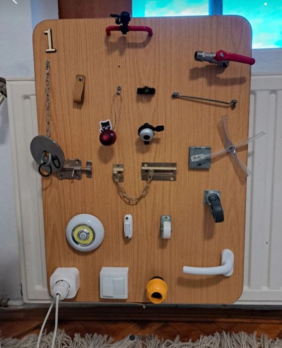 Placa senzoriala