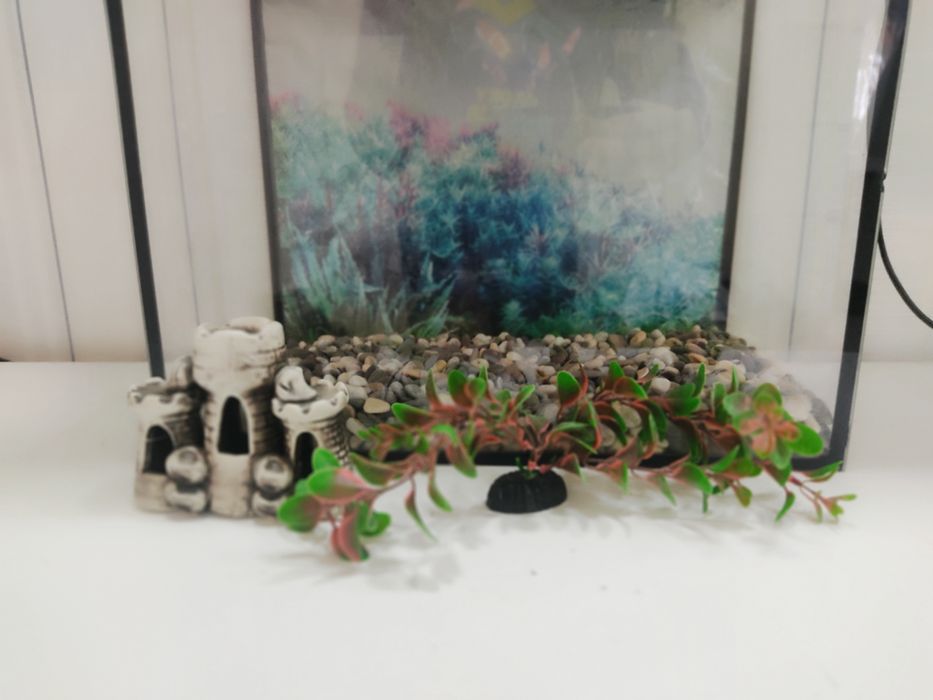 Аквариум для рыб дешево