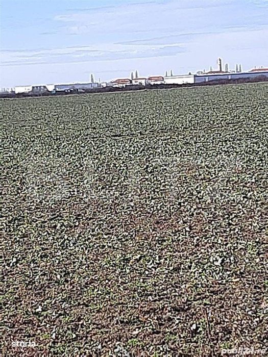 Teren cu suprafata de 2,6 ha, zona Aeroport