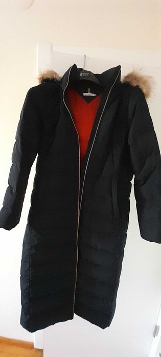 Haina Tommy Hilfiger bleumarin Regular Fit