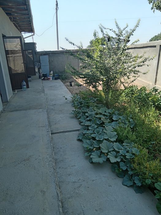 Недвижимость продажа