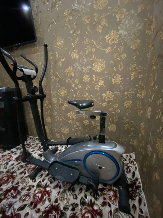 Velotrenajor yangii deyarli