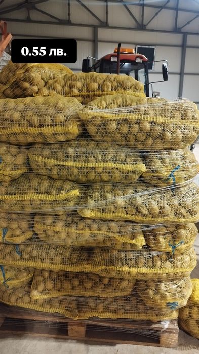 Картофи за консумация