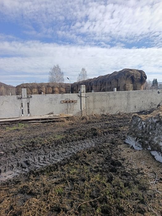 Продам сено луговое