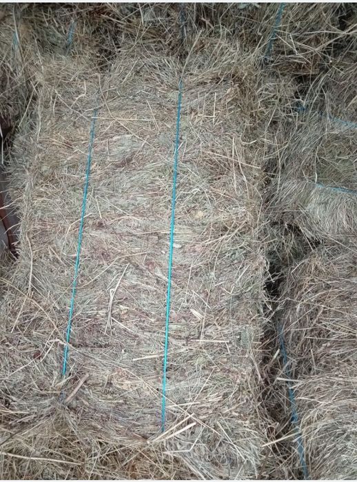 Vând baloți de fân