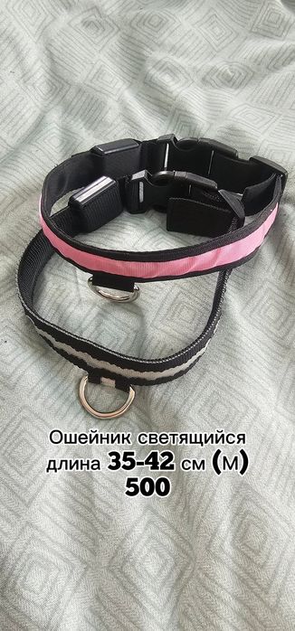 Амуниция для собак. Шлейки, поводки, ошейники.