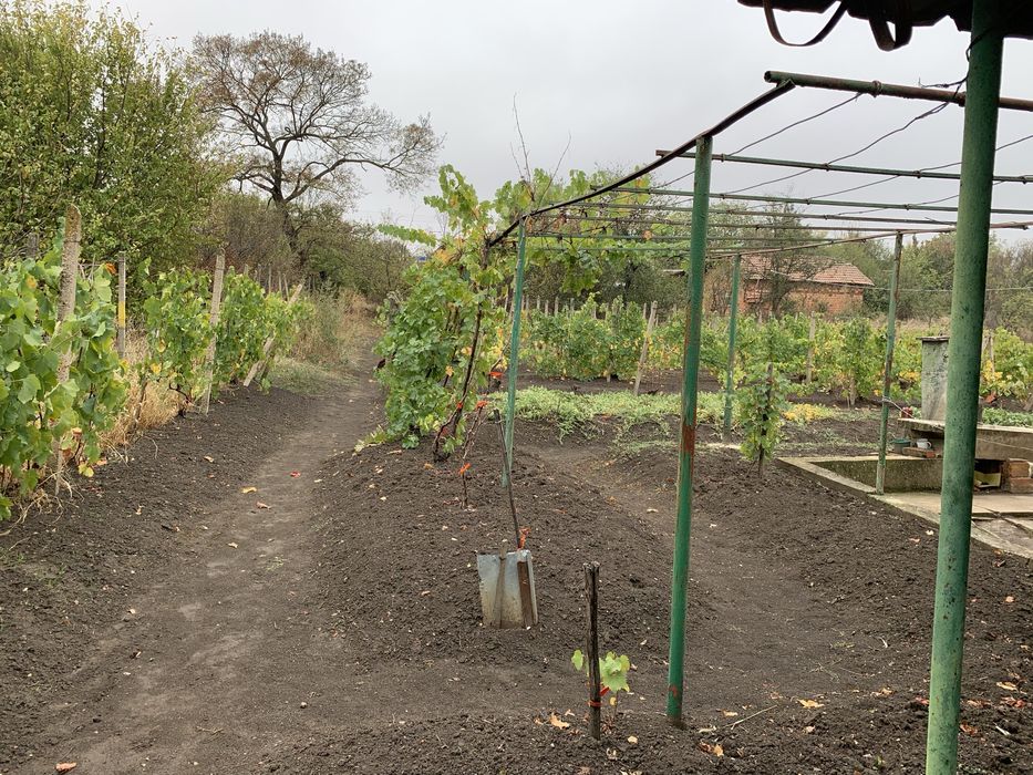 Продава се Къща в с. Попица, Област Враца - 2100 кв.м за 4 €/кв.м - Снимка #2