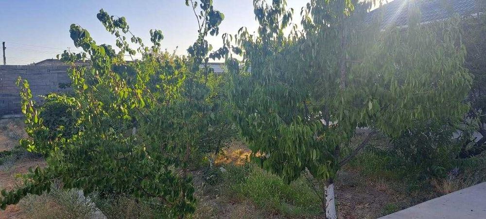 Үлкен үй сатылады